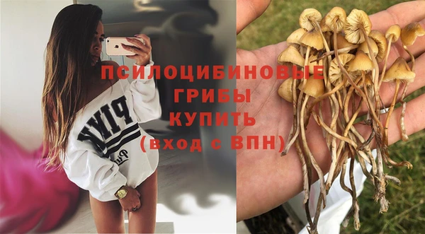 дмт Новосибирск