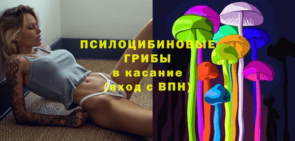 прущая мука Инсар