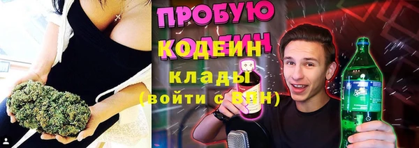 прущая мука Инсар