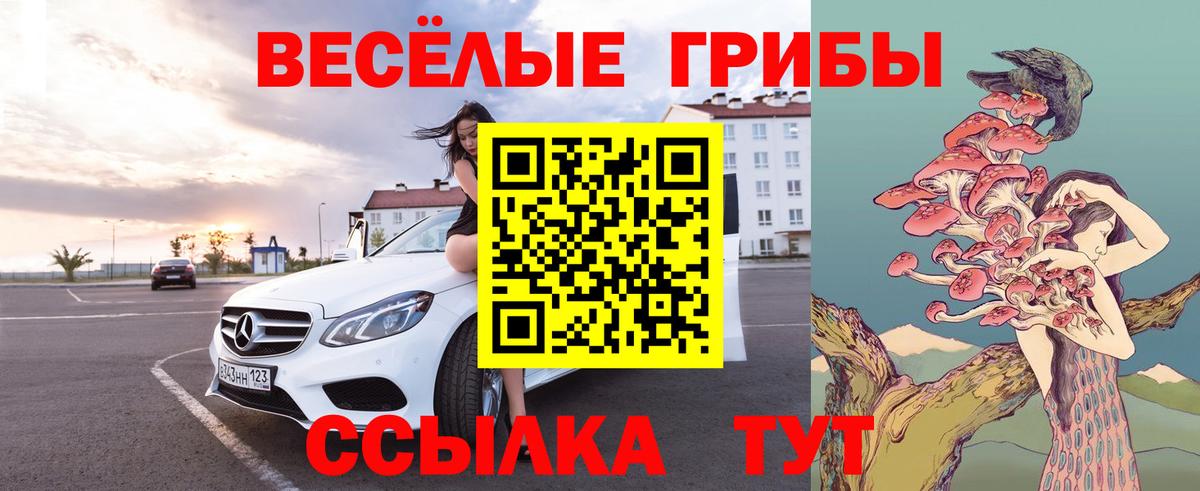 Галлюциногенные грибы Psilocybine cubensis  Вход с VPN  Качканар  Галлюциногенные грибы Psilocybe 