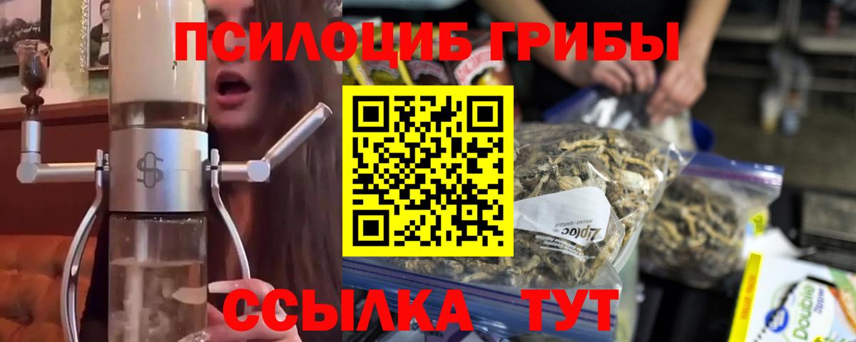 Псилоцибиновые грибы Psilocybine cubensis Качканар